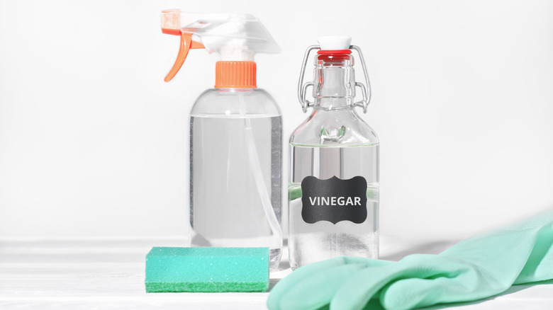 vinegar and water for cleaning