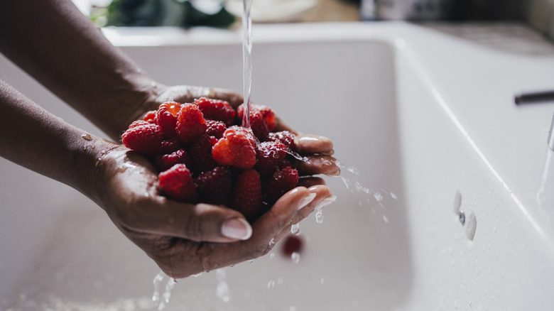 Berries getting washed under faucet