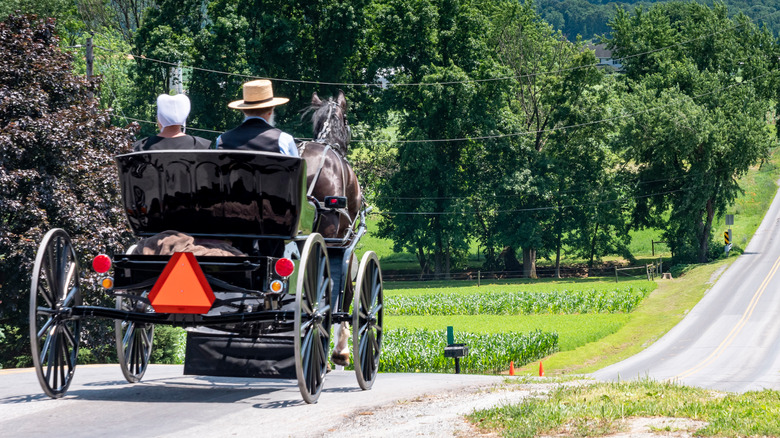 Amish horse and buggy on a Pennsylvania road