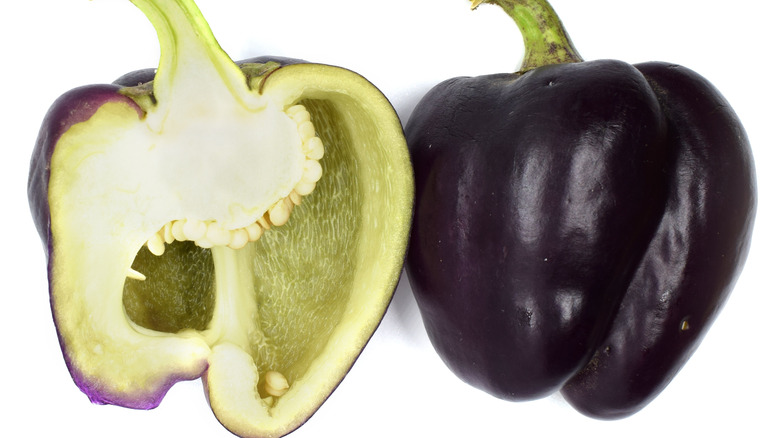 Purple bell pepper cross-section