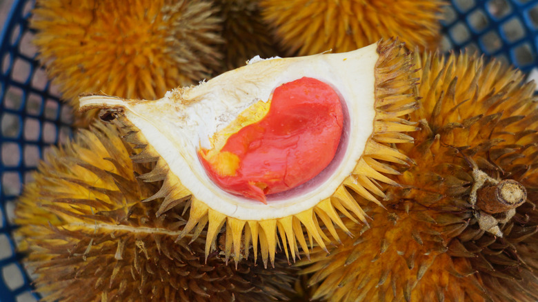 red durian fruit