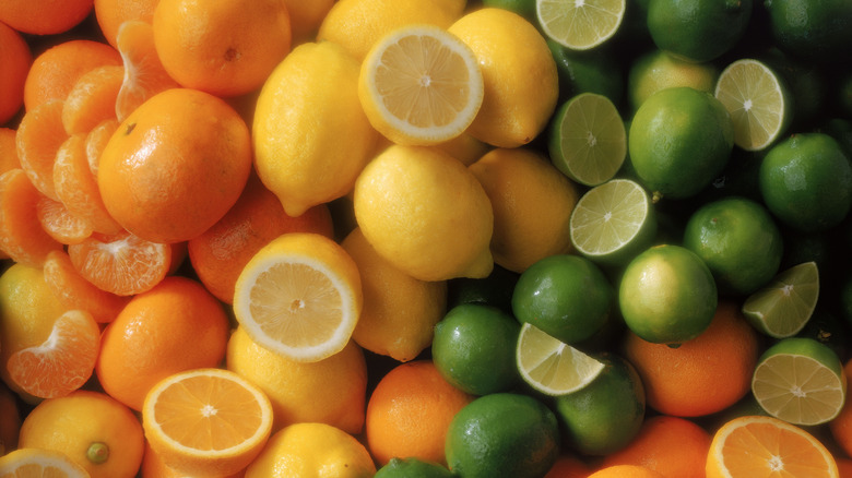 Assortment of citrus fruits