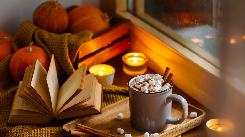 Hot chocolate with mini marshmallows and cinnamon sticks