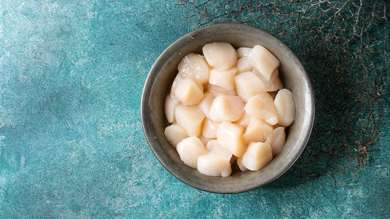 bowl of raw scallops