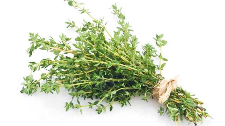 Bundle of thyme