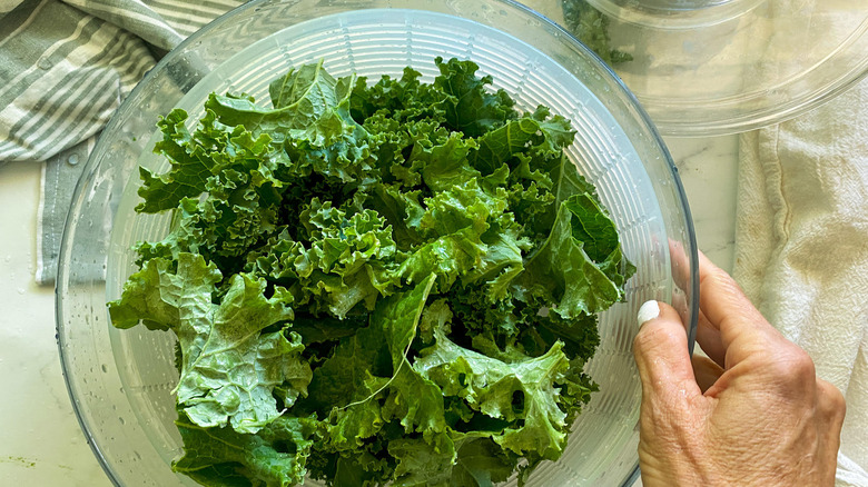kale in salad spinner 