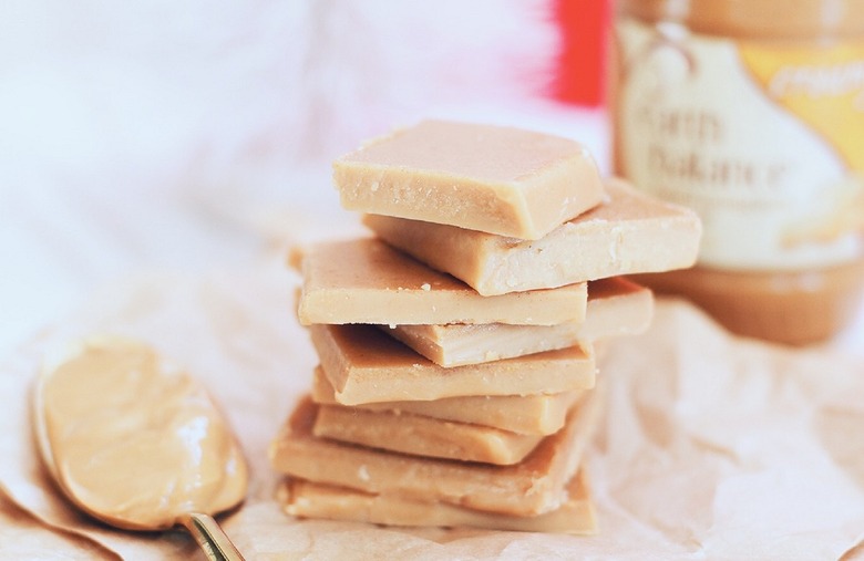 Plant-Made Peanut Butter Fudge 