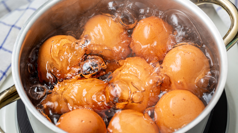 multiple eggs being boiled