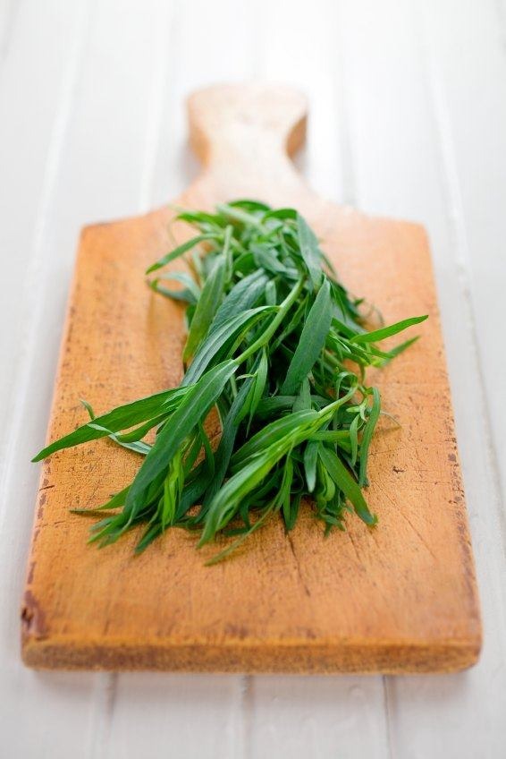 Tarragon