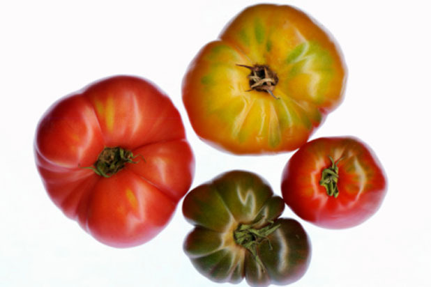 Tomatoes