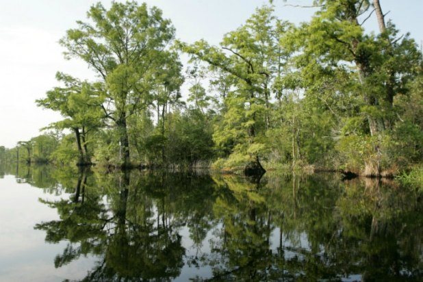 Alligator River National Wildlife Refuge (North Carolina)