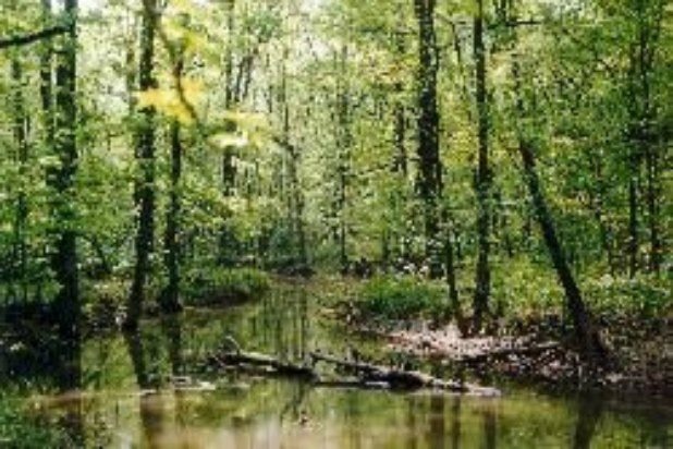 Noxubee National Wildlife Refuge (Mississippi)