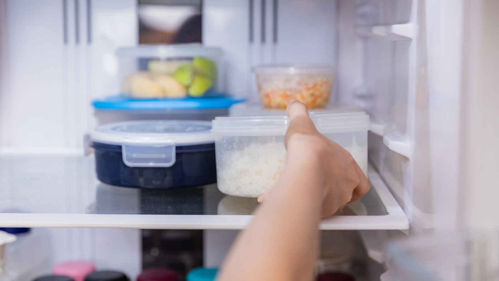 Lunchboxes could contain deadly bacteria