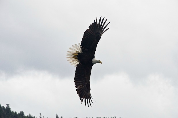 Ecotourism in Style at Sonora Resort, British Columbia 