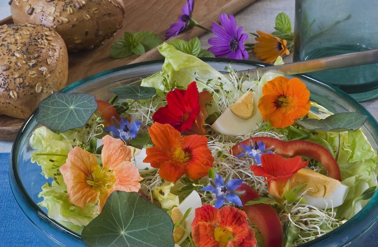 Nasturtiums