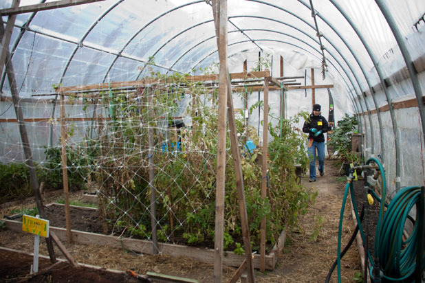 The Hoop House