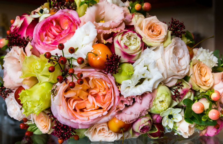 Fruits and Flowers