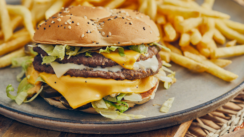 a burger and some fries on ceramic plate