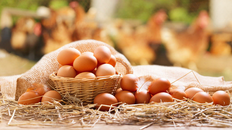 Basket of eggs