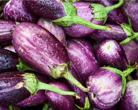 Eggplants