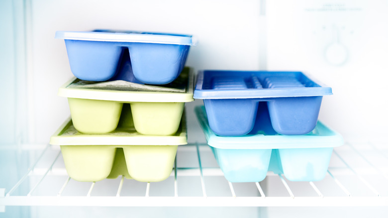 Ice cube trays in a freezer