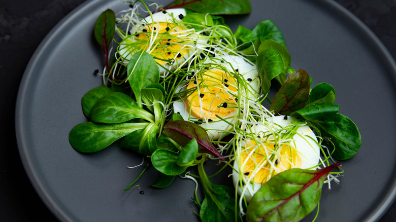 Salad with sprouts and egg