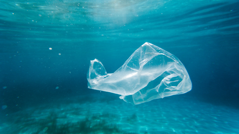 plastic in the ocean