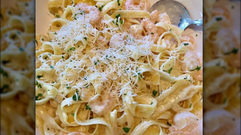 Plate of Shrimp Alfredo