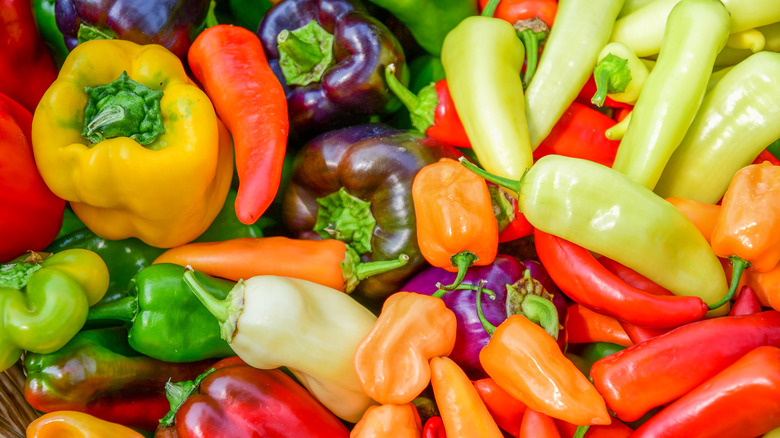 Different types of peppers