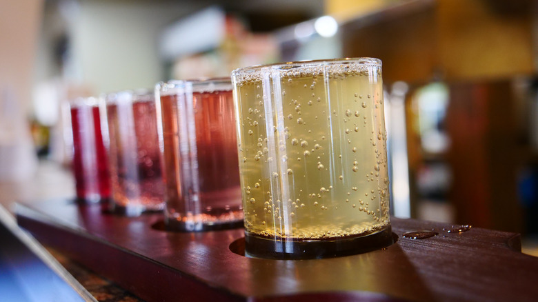 Glasses of kombucha on bar