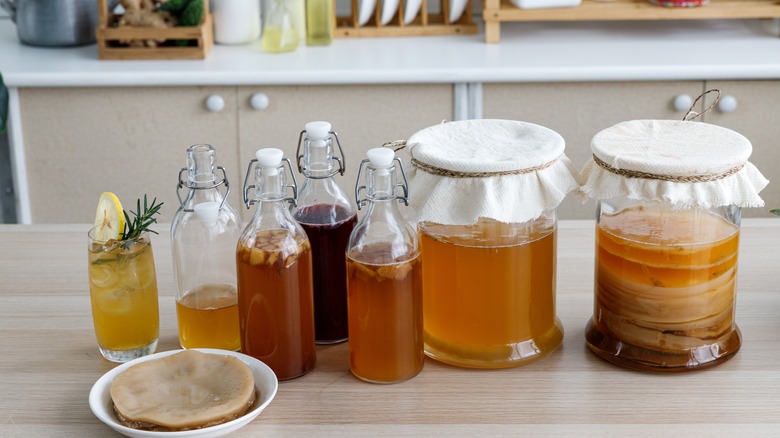 Homemade kombucha in jars