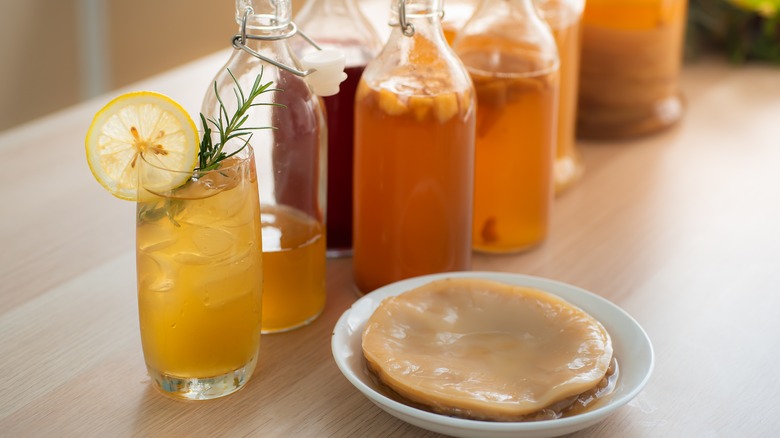 Kombucha and SCOBY on plate