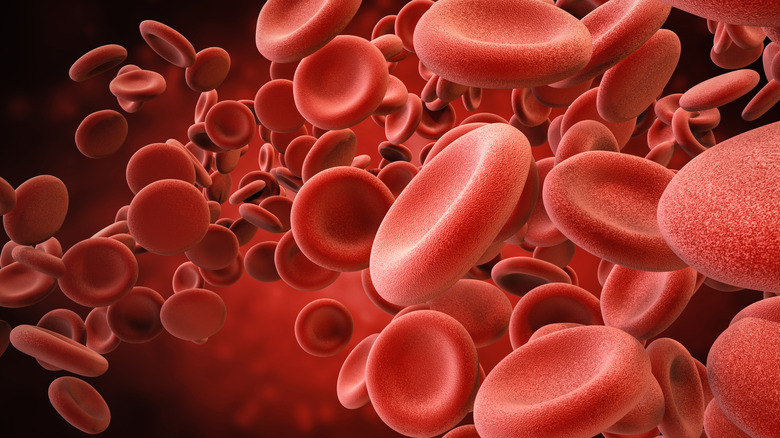 Illustration of red blood cells