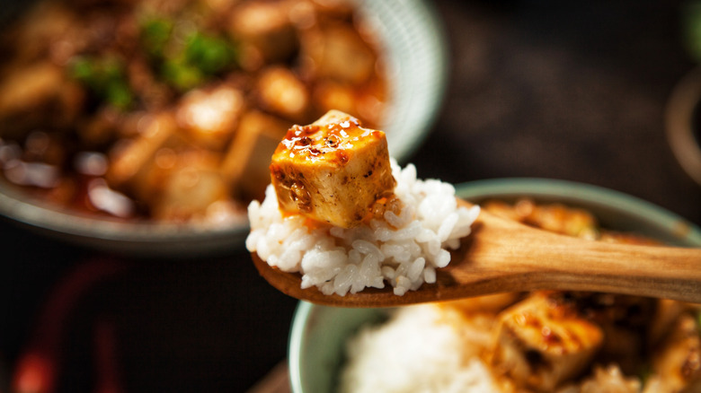 Tofu and rice on spoon