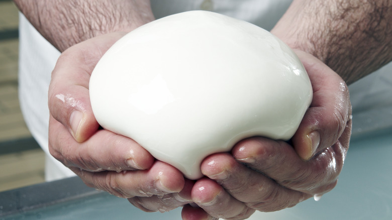 Person holding a ball of mozzarella