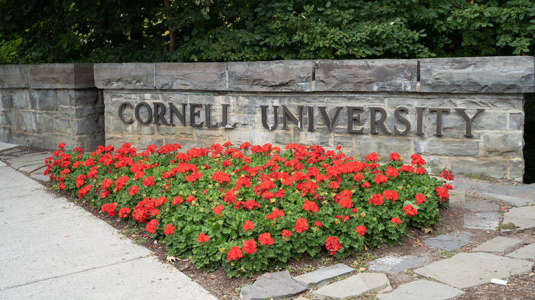 Cornell University sign