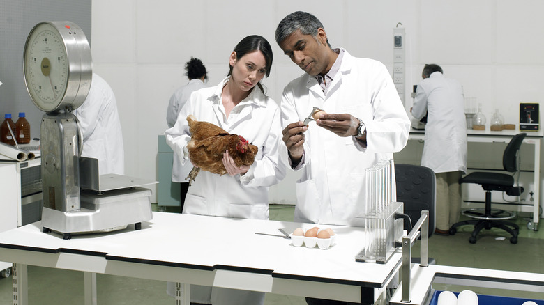 Food scientists in laboratory