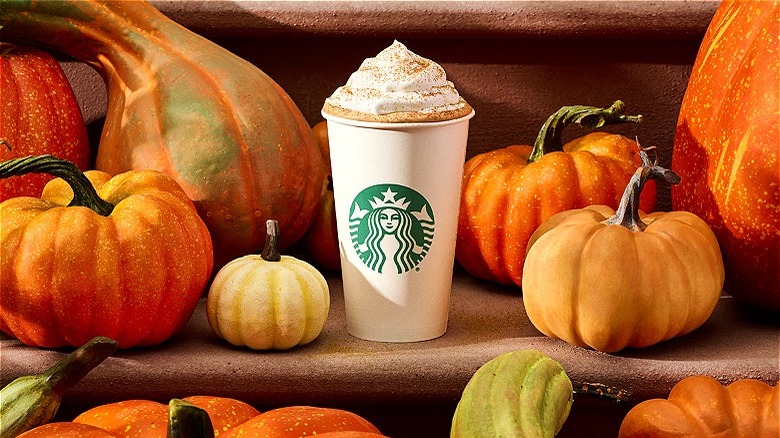 Starbucks drink surrounded by pumpkins