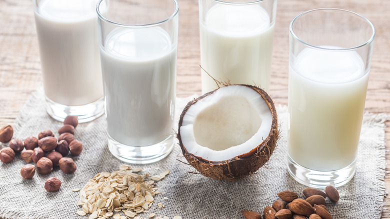 Different types of non-dairy milk