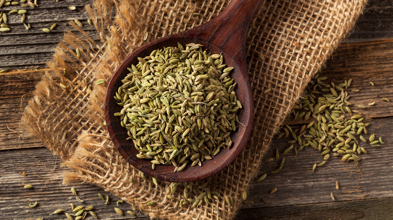 Fennel seeds in a ladle