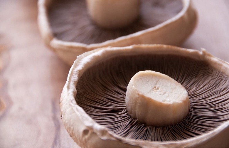 Portabello Mushrooms