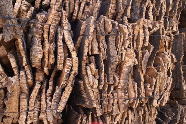 Cork Bark