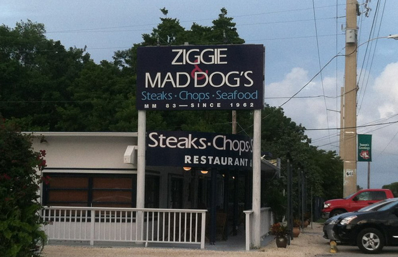 Ziggie & Mad Dogs