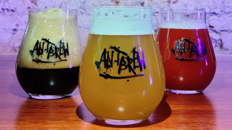 trio of Ant Brew beers