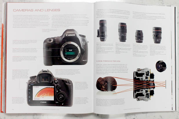 Section: Cameras and Lenses