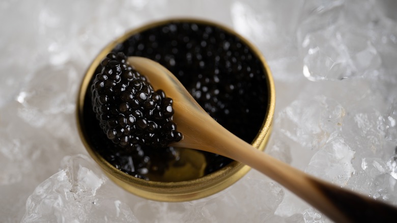 Close-up on a spoonful of caviar