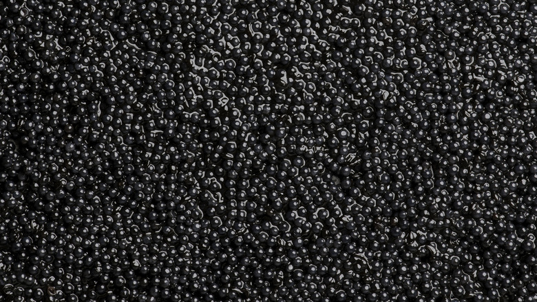 Close-up on a vat of caviar