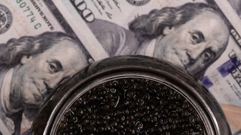 Bowl of caviar posed over $100 bills