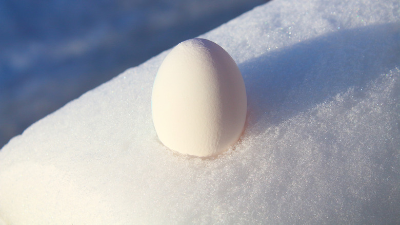 White egg in snow