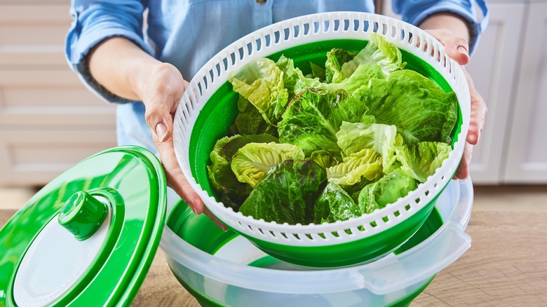 woman holding salad spinner full of lettuce on kitchen counter